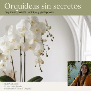 Orquideas sin Secretos